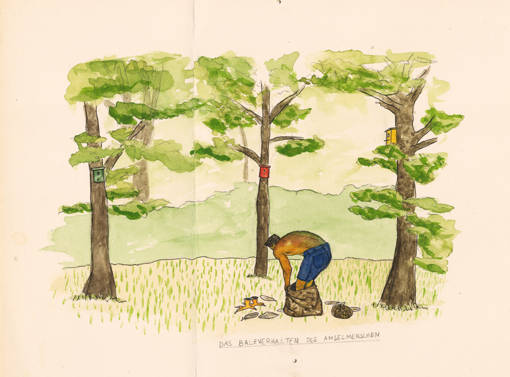 "das balzverhalten des amselmenschen"