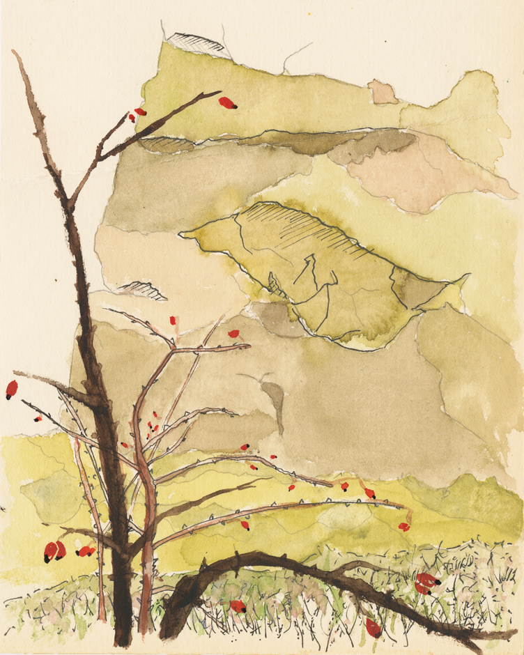 "wenn dornen die haut aufweichen
zerrei&szlig;en die dielen und du steht in der leere
ein alpaka geht unter im seichten
als w&auml;r&rsquo; es das tiefste der meere"