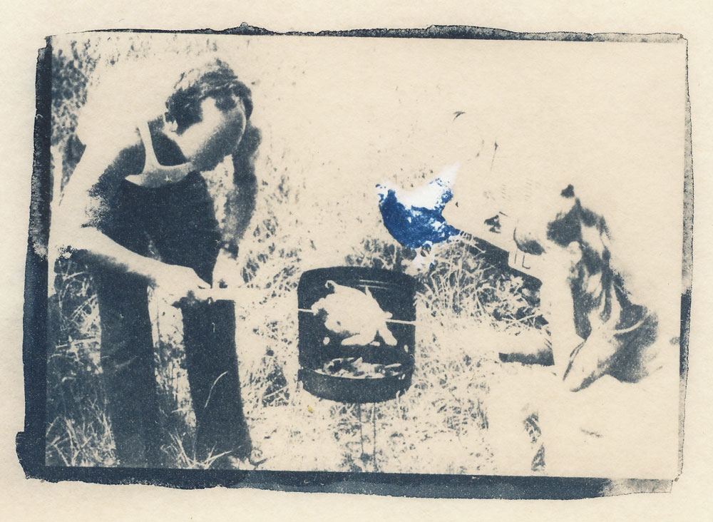 "das gesellschaftliche sein des huhns"