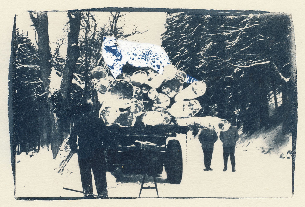 "(schnee)blinde passagiere"